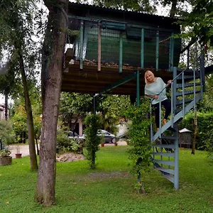 https://la-casa-sullalbero.hotelinveneto.com